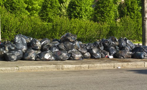 Separated recycling bags and bins outside a Sydenham property