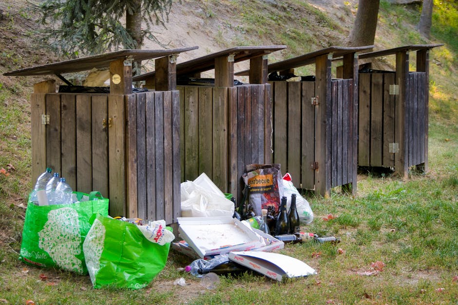 Bell Green Sydenham rubbish collection advice for homeowners
