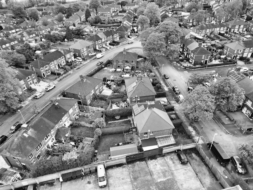 Bromley Council permit guide for Sydenham skip free zones
