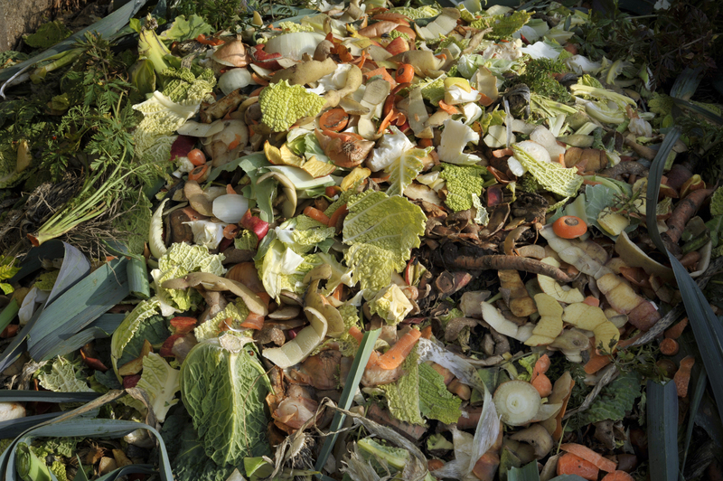 Managing Situations When Your Bin Isn't Collected