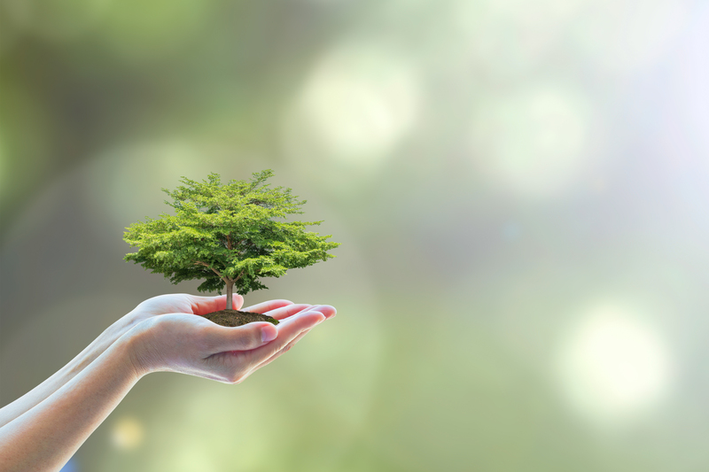 Mastering Waste Management: Curb Plastic Usage